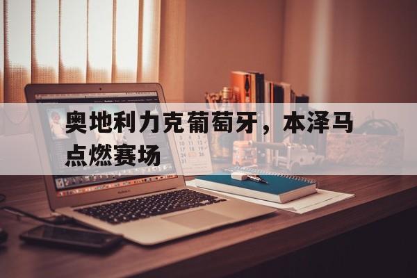 开云下载-奥地利力克葡萄牙，本泽马点燃赛场