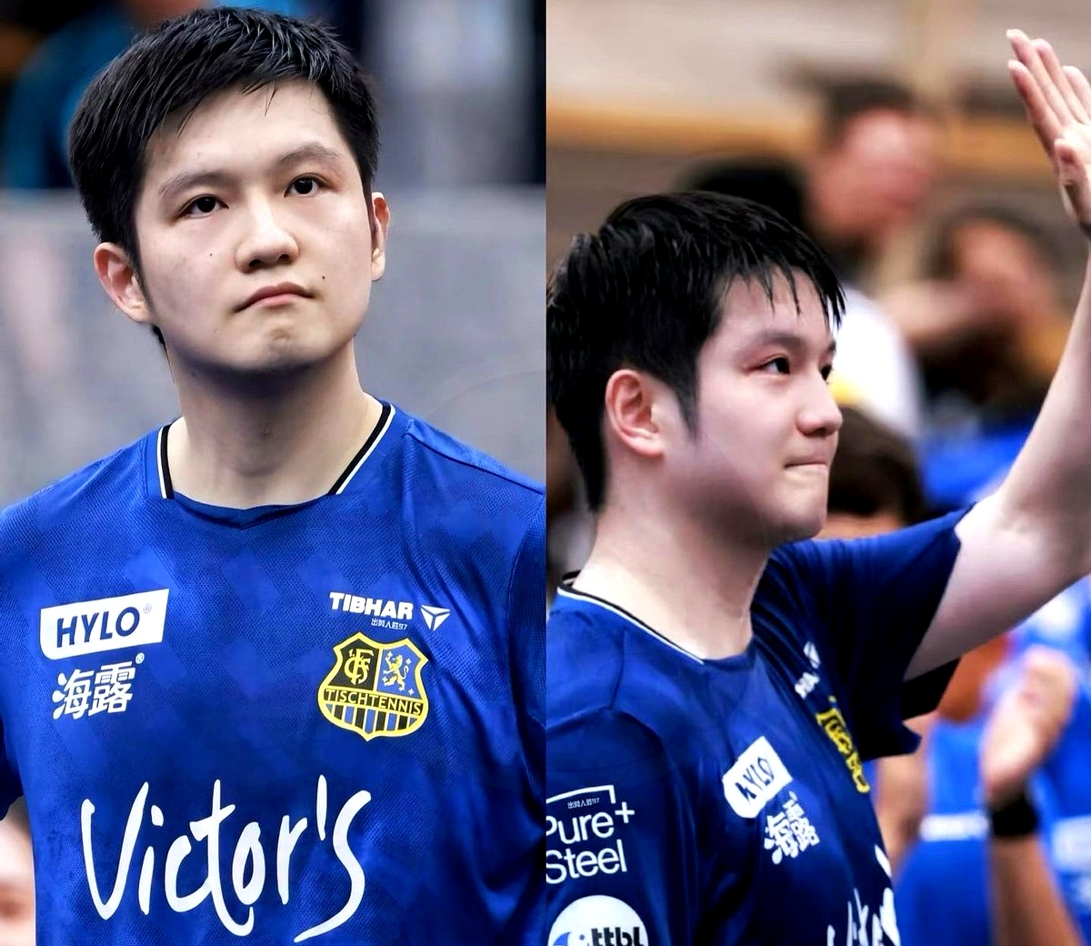 开云-英格兰队绝杀德国队，樊振东扛起全队